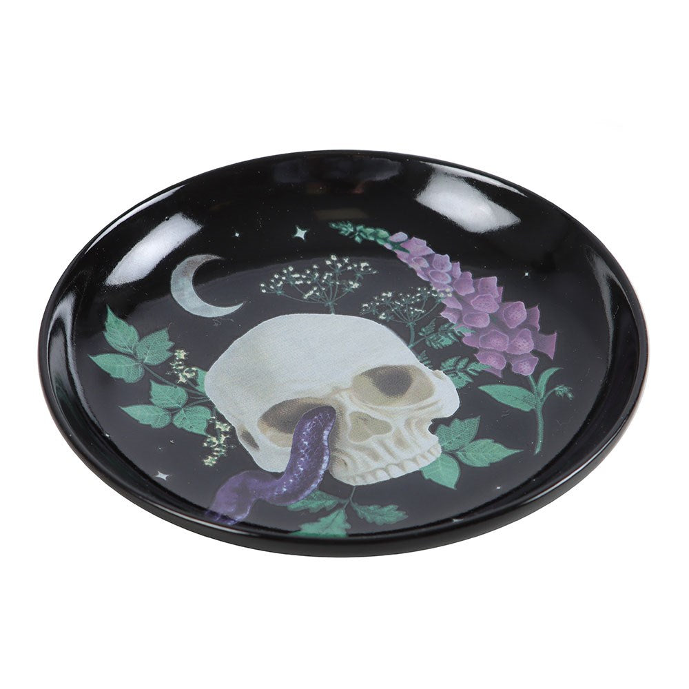 Trinket Dish - Venom & Vine