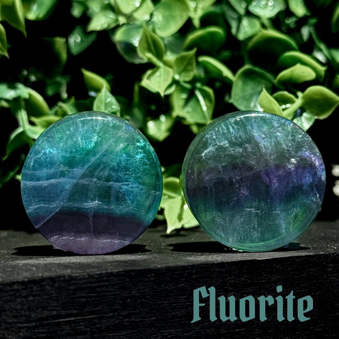 Plug - Stones - Wolf Moon