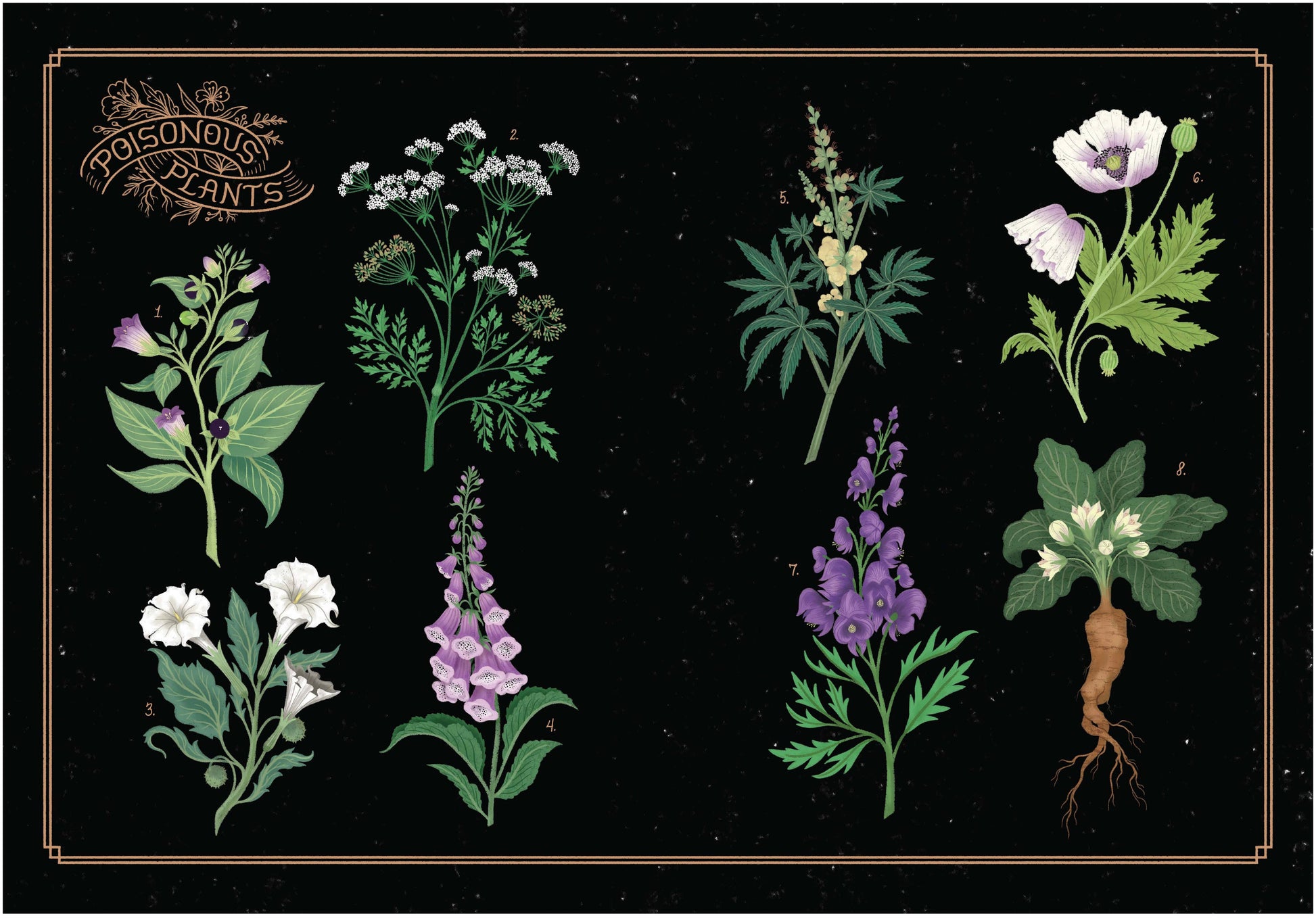 Book - League of Lady Poisoners - Wolf Moon