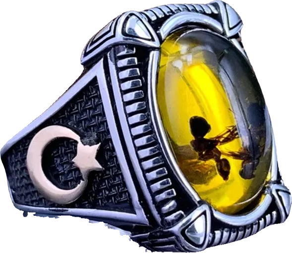 Ring - Amber Insect Ring (Stainless Steel) - Wolf Moon