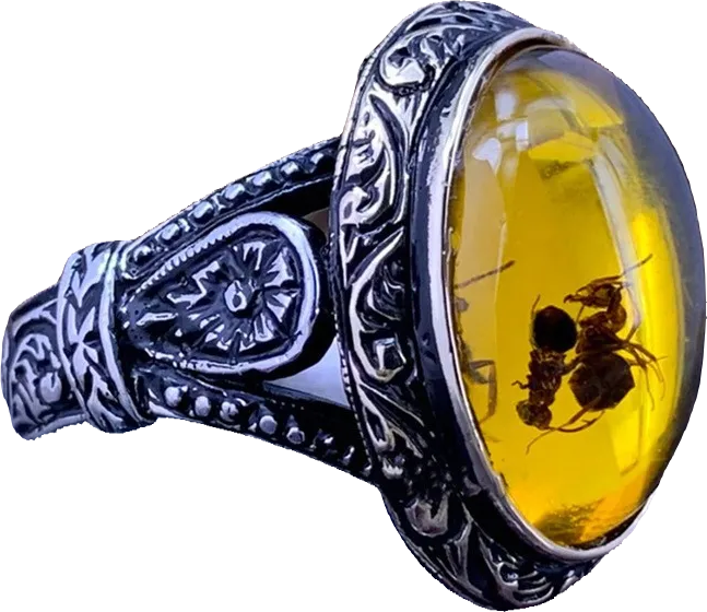 Ring - Amber Insect Ring (Stainless Steel) - Wolf Moon