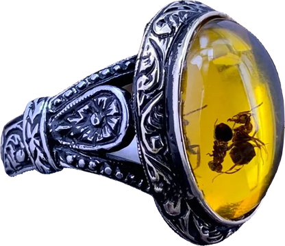 Ring - Amber Insect Ring (Stainless Steel) - Wolf Moon