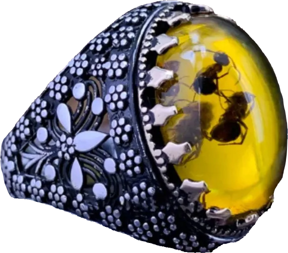 Ring - Amber Insect Ring (Stainless Steel) - Wolf Moon